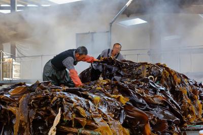 金融支點(diǎn)撬動(dòng)三產(chǎn)融合 恒豐銀行威海分行助力&ldquo;海帶之都&rdquo;提檔升級(jí)