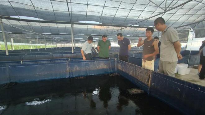 技術大拿間的&ldquo;夢幻聯動&rdquo;!海之味與集美大學水產學院達成戰略合作,開啟牛蛙技術研發新篇章