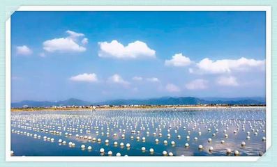 諸暨珍珠產業:錨定數字化 開辟新藍海