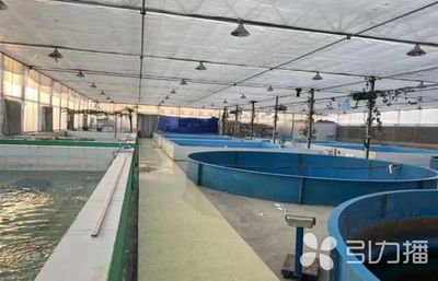 已達(dá)14家!蘇州新增6家水產(chǎn)類省級特色優(yōu)勢種苗中心