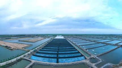 光合蟹業成功入選首批&ldquo;全國水產技術推廣人員培訓基地&rdquo;名單