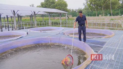 湖北江陵探索水產(chǎn)養(yǎng)殖 零排放 模式