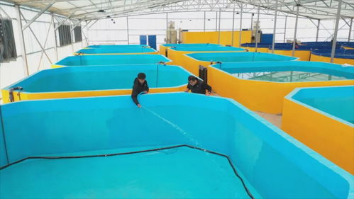 從沙漠鹽堿到 魚蝦滿倉(cāng) 和田縣新一年備產(chǎn)正酣