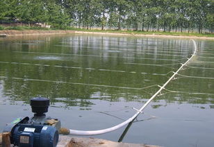 您還在為養(yǎng)殖過程中的氨氮超標(biāo)頭疼不已嗎