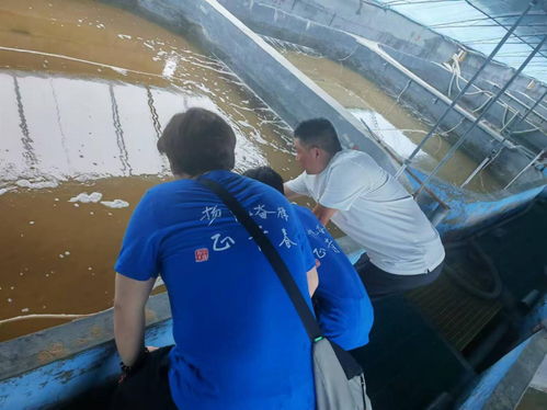 智養(yǎng)科技 為養(yǎng)殖尾水處理裝上 智慧大腦