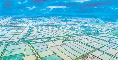 我市又一項省重點領(lǐng)域研發(fā)計劃項目落地實施 助推水產(chǎn)養(yǎng)殖朝工業(yè)化方向發(fā)展