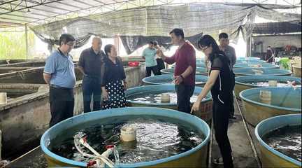 廣西水產科學研究院開展水產養殖技術及水產品加工技術指導
