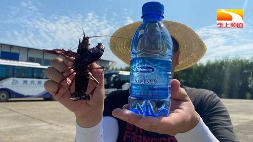 515 科技服務(wù)行動(dòng)助力湖北水產(chǎn)養(yǎng)殖行業(yè)高質(zhì)量發(fā)展