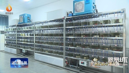 總產(chǎn)值65億元!達(dá)州已認(rèn)定現(xiàn)代農(nóng)業(yè)園區(qū)42個(gè),總面積59.7萬(wàn)畝