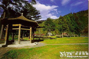 藝龍網友 藝龍網友 武陵農 1