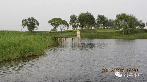 雙輪驅(qū)動(dòng) 提升水產(chǎn)養(yǎng)殖技術(shù)與農(nóng)家樂休閑觀光服務(wù)質(zhì)量的綜合策略